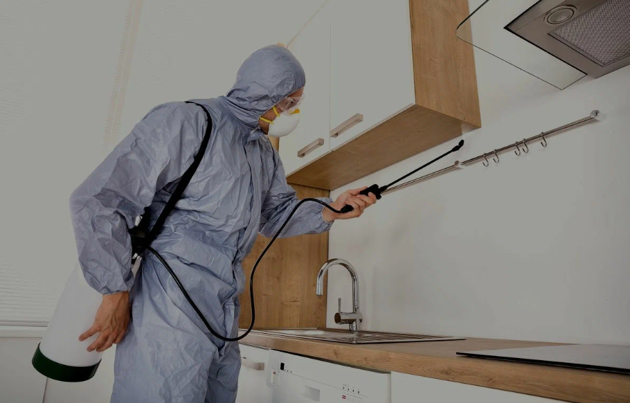 North Highlands pest managment